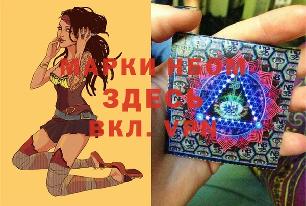 apvp Алзамай