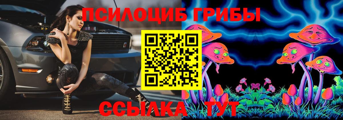 Псилоцибиновые грибы ЛСД Североуральск
