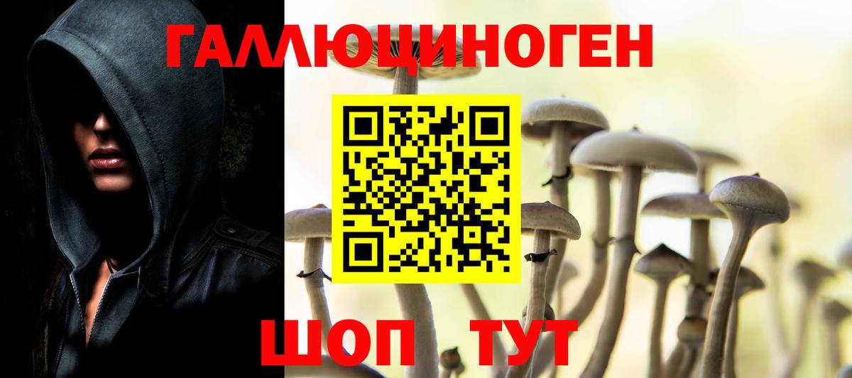 Галлюциногенные грибы прущие грибы  Псилоцибиновые грибы MAGIC MUSHROOMS  где купить наркоту  Вход с VPN  Североуральск 